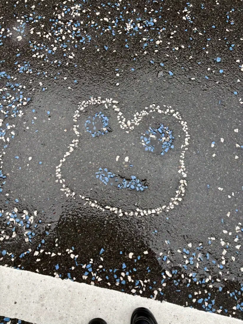 地面に色石で描かれたカエルの顔